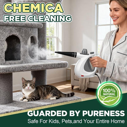 Handheld multi-functional natural steam cleaner